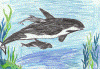 johnotwo.gif (382741 bytes)